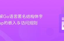 深入理解Go语言匿名结构体字段：Map的嵌入与访问规则