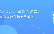 使用 AWS DynamoDB 全局二级索引高效扫描存在特定列值的记录