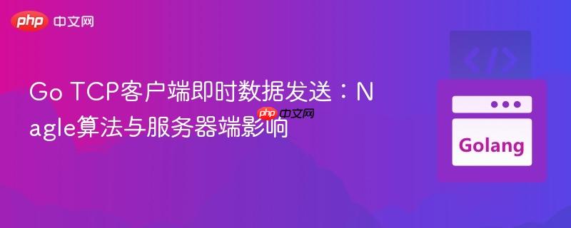 Go TCP客户端即时数据发送:Nagle算法与服务器端影响