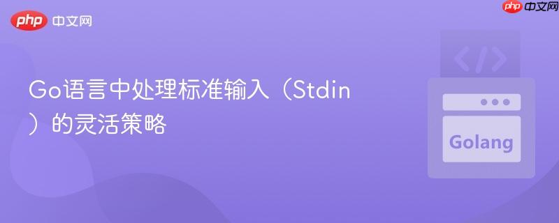 Go语言中处理标准输入(Stdin)的灵活策略