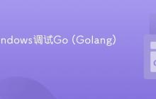 使用Windows调试Go (Golang) 代码