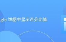 在 Google 饼图中显示百分比值