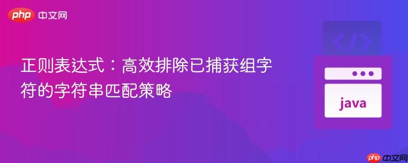正则表达式：高效排除已捕获组字符的字符串匹配策略
