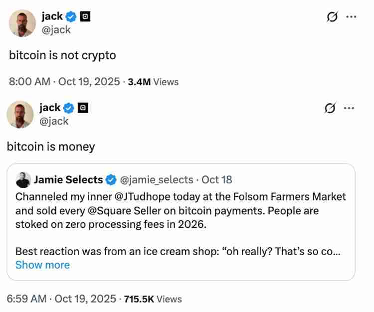 比特币(BTC)如果不是加密货币,详细了解那是什么?传闻中的中本聪发表看法