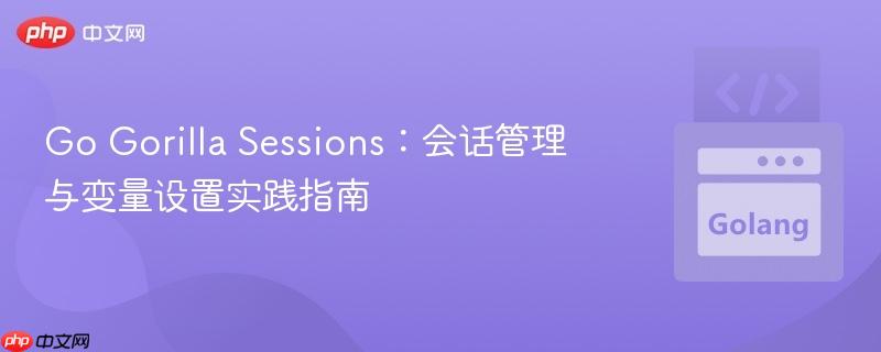 Go Gorilla Sessions：会话管理与变量设置实践指南

