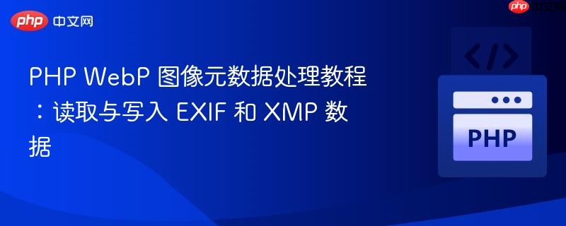 PHP WebP 图像元数据处理教程：读取与写入 EXIF 和 XMP 数据