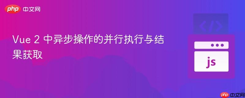 Vue 2 中异步操作的并行执行与结果获取