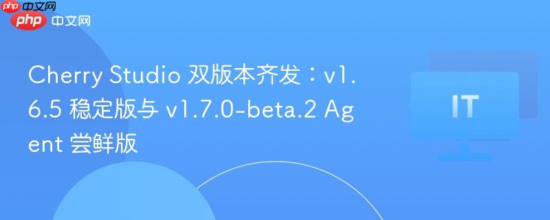 Cherry Studio 双版本齐发：v1.6.5 稳定版与 v1.7.0-beta.2 Agent 尝鲜版