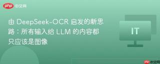 由 DeepSeek-OCR 启发的新思路：所有输入给 LLM 的内容都只应该是图像