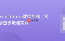 ExtJS Grid与Store数据加载：常见错误排查与最佳实践