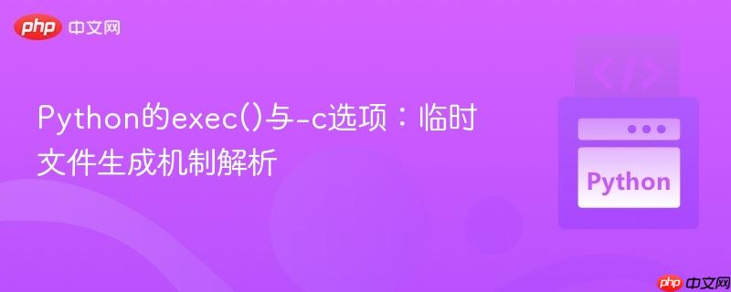 Python的exec()与-c选项：临时文件生成机制解析
