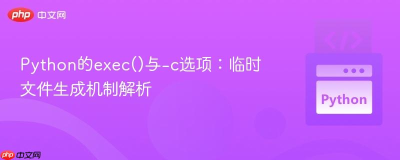 Python的exec()与-c选项：临时文件生成机制解析