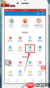 移动掌上营业厅如何查通话记录