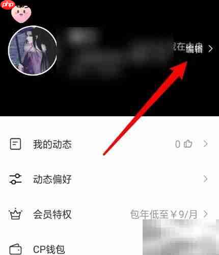 红蓝CP位置调整方法