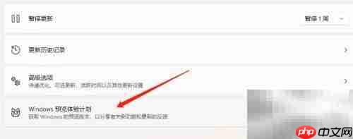 Win11体验版升级教程