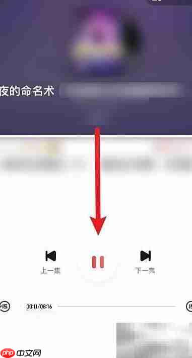 夜的命名术有声版收听指南