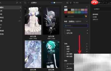 Eagle注释筛选图片技巧