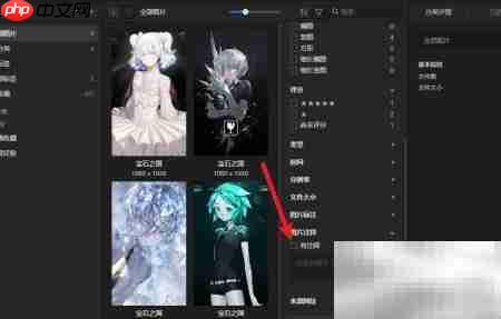 Eagle注释筛选图片技巧