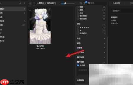 Eagle注释筛选图片技巧