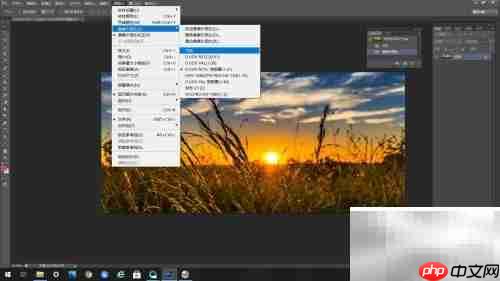 PS新尺寸:D1/DV宽银幕1.21