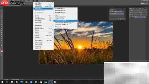 PS新尺寸:D1/DV宽银幕1.21