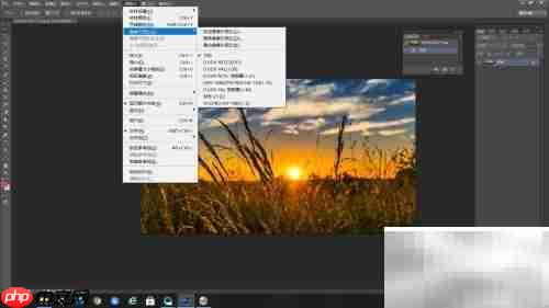 PS新尺寸:D1/DV宽银幕1.21