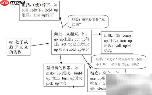 动词联想：高效记忆新法