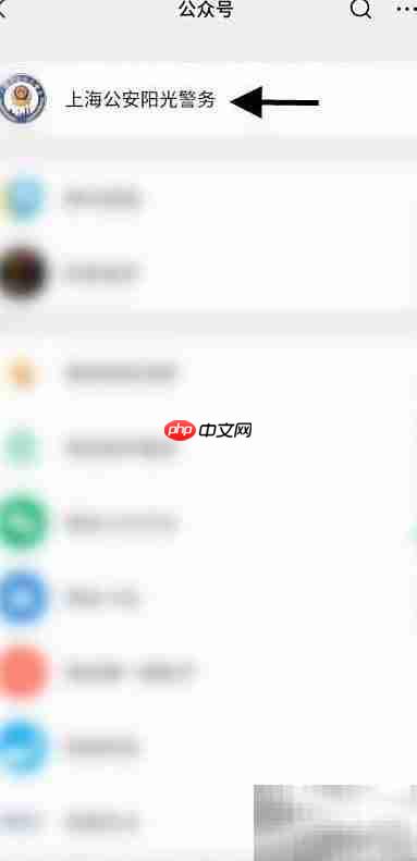 上海电子监控违法查询指南