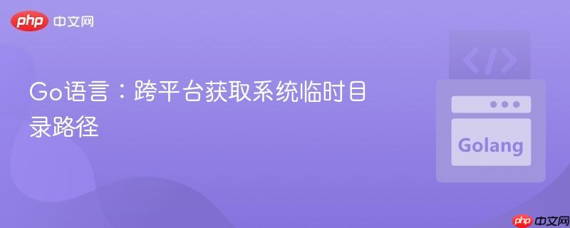 Go语言：跨平台获取系统临时目录路径
