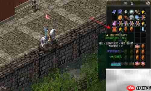 剑网三披风装备指南