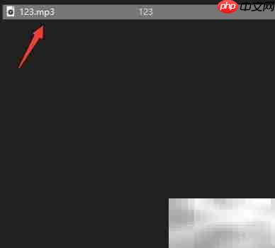 Max Recorder内录MP3教程