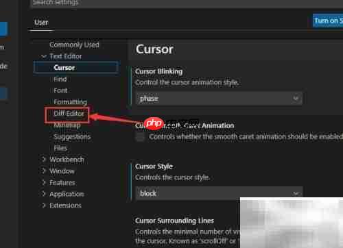VS Code编码透镜设置方法