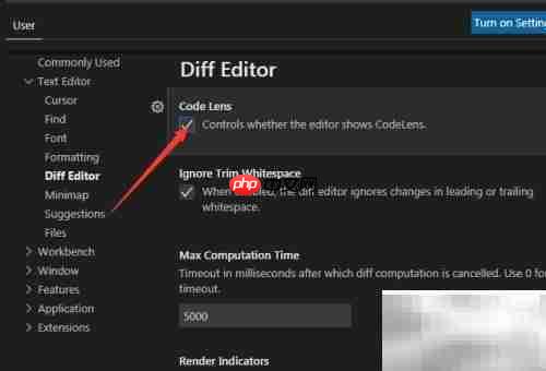 VS Code编码透镜设置方法