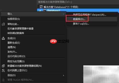 Visual Studio创建SQL数据库项目