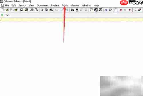 Crimson Editor关闭制表符显示