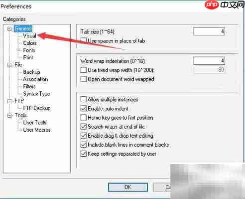 Crimson Editor关闭制表符显示