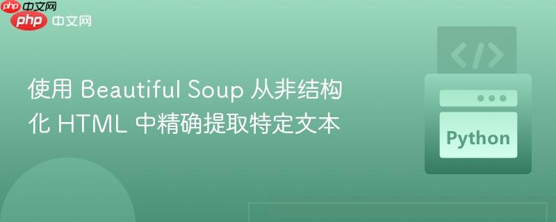 使用 Beautiful Soup 从非结构化 HTML 中精确提取特定文本