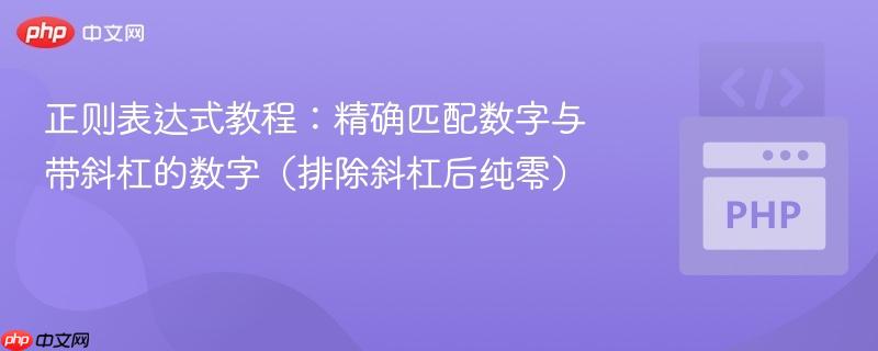 正则表达式教程：精确匹配数字与带斜杠的数字（排除斜杠后纯零）