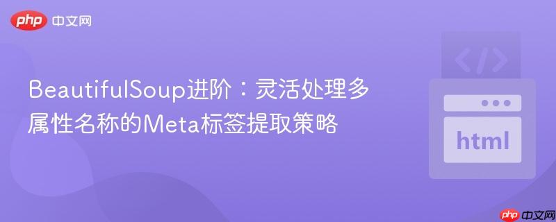 BeautifulSoup进阶：灵活处理多属性名称的Meta标签提取策略