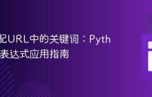 精确匹配URL中的关键词：Python正则表达式应用指南