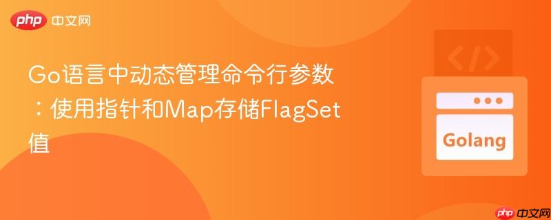 Go语言中动态管理命令行参数:使用指针和Map存储FlagSet值
