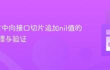 Go语言中向接口切片追加nil值的正确处理与验证
