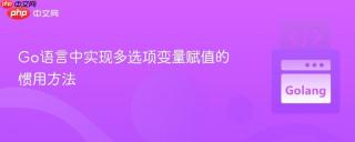 Go语言中实现多选项变量赋值的惯用方法