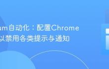 Selenium自动化：配置Chrome浏览器以禁用各类提示与通知