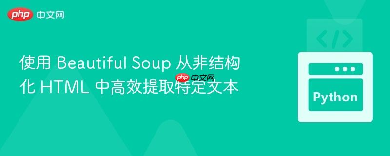 使用 Beautiful Soup 从非结构化 HTML 中高效提取特定文本