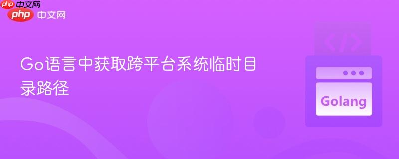 Go语言中获取跨平台系统临时目录路径