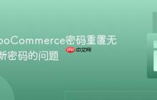 解决WooCommerce密码重置无法保存新密码的问题