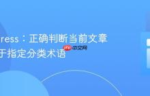 WordPress：正确判断当前文章是否属于指定分类术语