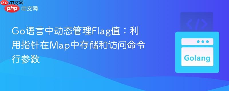 Go语言中动态管理Flag值：利用指针在Map中存储和访问命令行参数