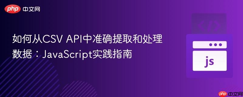 如何从CSV API中准确提取和处理数据：JavaScript实践指南

